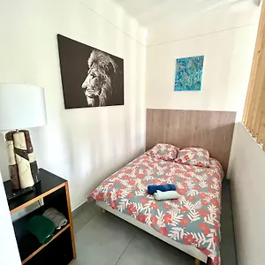 Ilios Cannes Appartement
